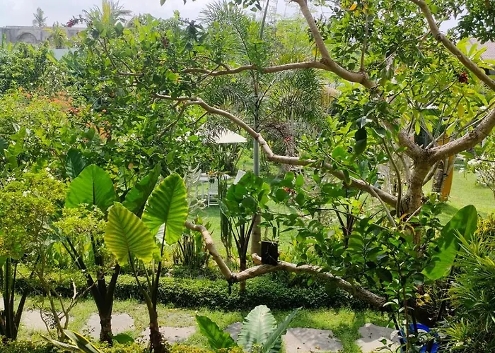 Lotus 8 Canggu