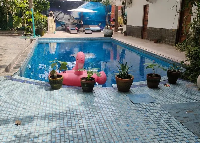 Hotel Lotus 8