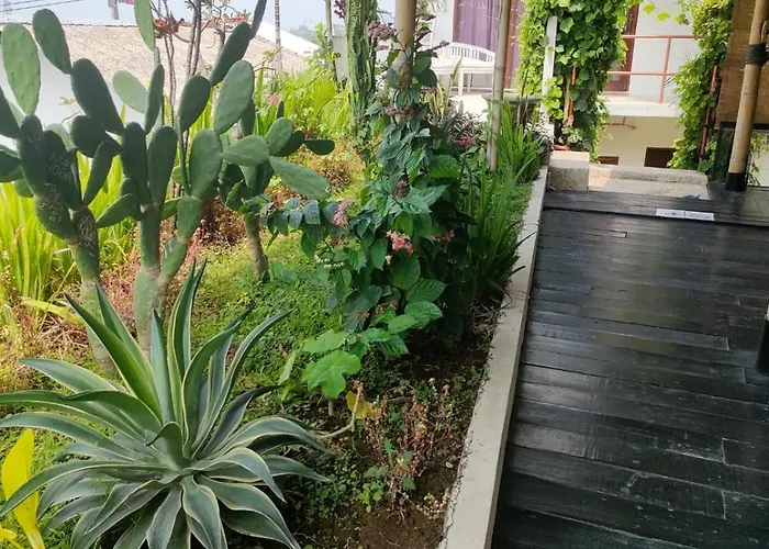 Lotus 8 Hotel Canggu