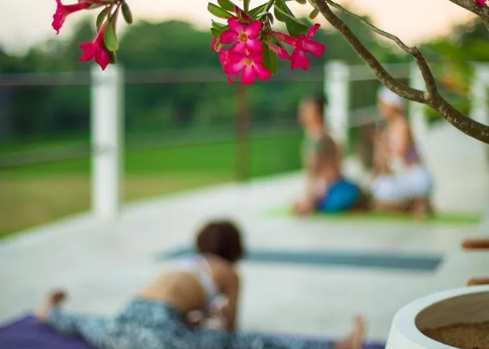 Lotus 8 Hotel Canggu